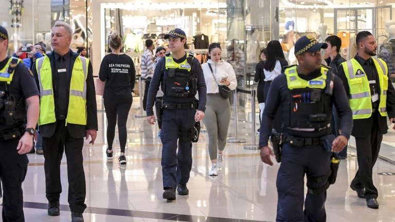 Shopping Centre Security 